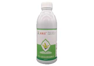 长青草黄安2.5%五氟磺草胺图片