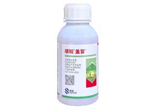 顺毅盖冒5%精喹禾灵图片