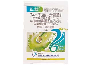 正业正壮0.4%24-表芸·赤霉酸图片
