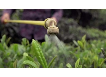 蔬菜除草剂的使用要领