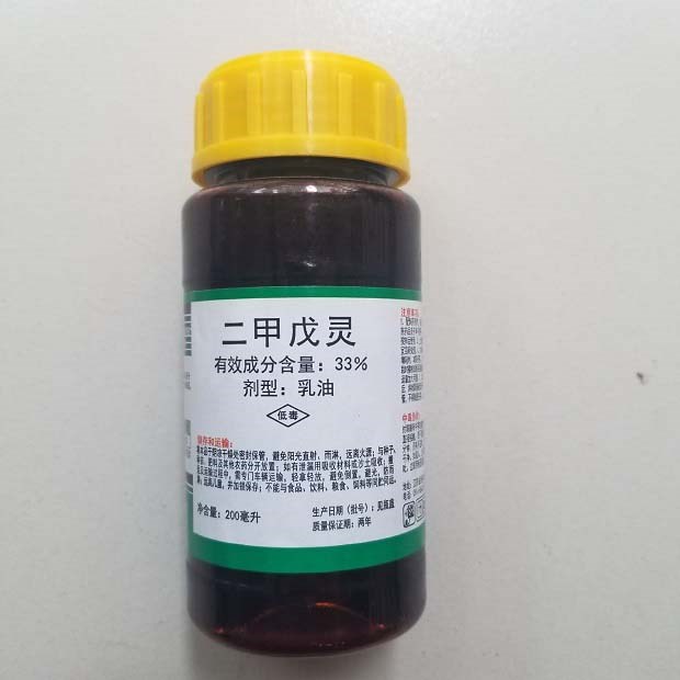二甲戊灵药害致水稻生长受抑制