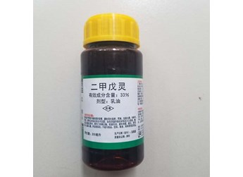 二甲戊灵药害致水稻生长受抑制