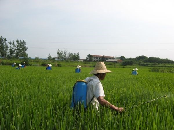 人农药中毒后如何急救