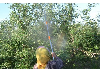 农药安全间隔期和间隔期有什么区别？