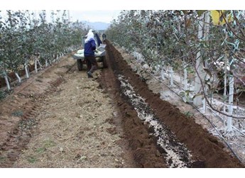 大量元素水溶肥施用原则 大量元素水溶肥施用原则
