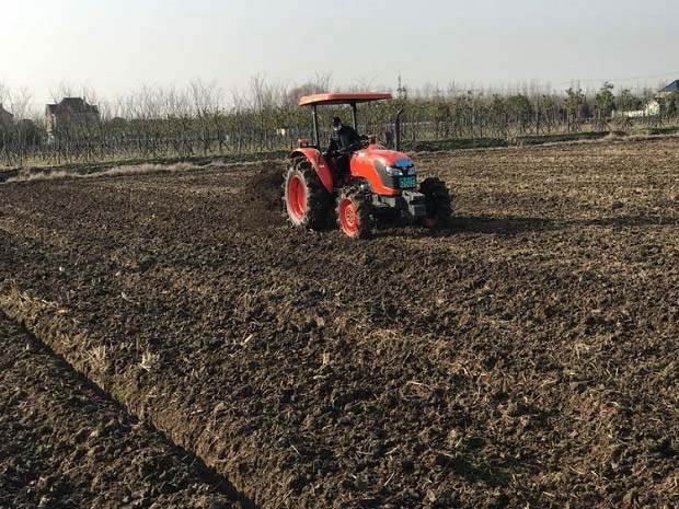 什么是胺化作用、氨化作用、硝化作用、反硝化作用？