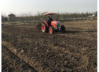 什么是胺化作用、氨化作用、硝化作用、反硝化作用？
