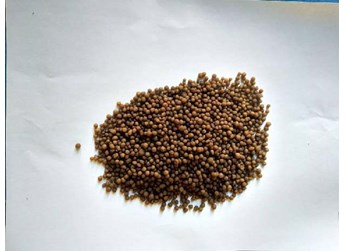 2025年10月22日磷铵参考价格 2025年10月22日磷铵参考价格