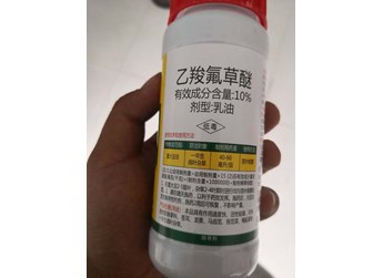 正确使用乙羧氟草醚