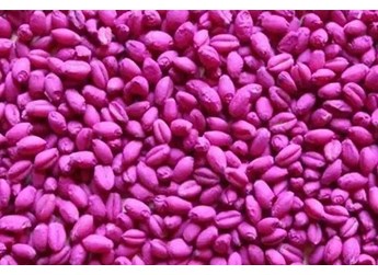 使用氟环唑·咯菌腈悬浮剂拌麦种方法