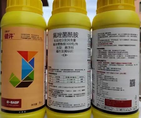 氟唑菌酰胺作用机制