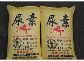 尿素价格最新行情 2025年8月20日