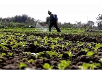 中微量元素肥料施用原因 中微量元素肥料施用原因