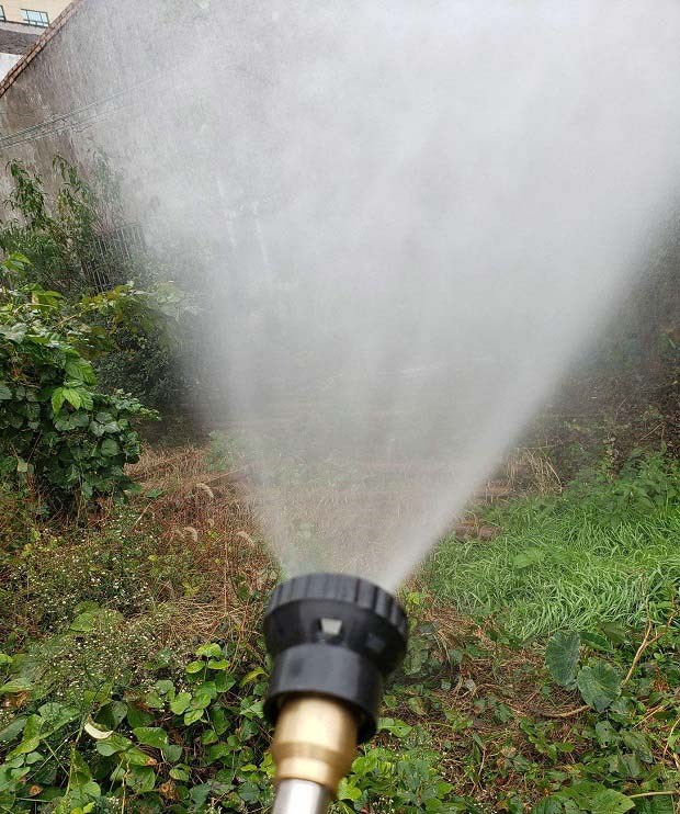 如何为蔬菜补充镁肥？