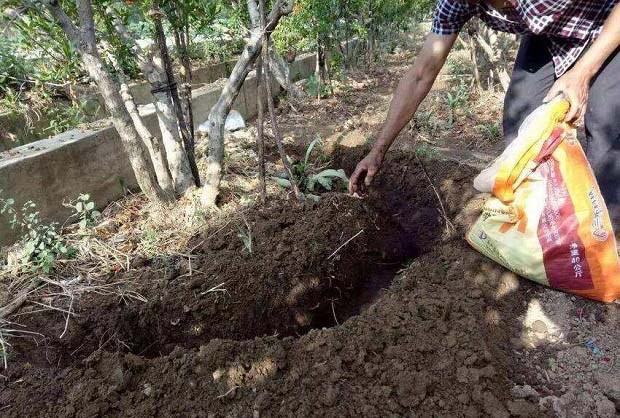 微生物肥料施用注意事项