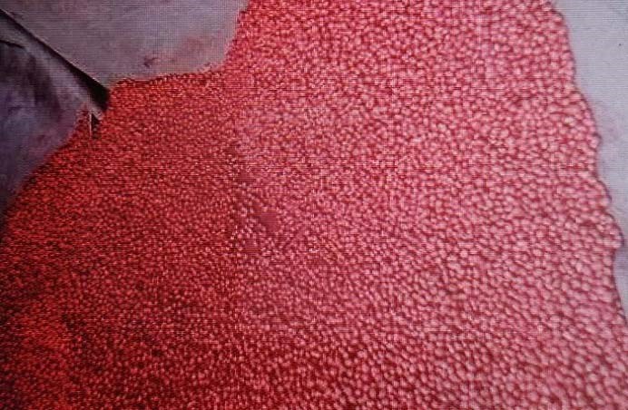 豆科作物种子拌种选用那些农药效果好？