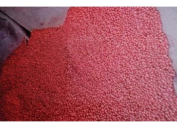 豆科作物种子拌种选用那些农药效果好？