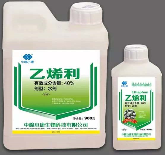 烤烟喷施乙烯利催熟方法