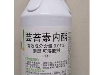 使用芸苔素内酯的注意事项