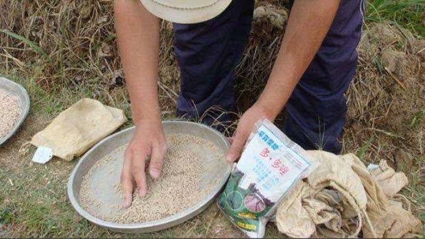 杀菌剂农药和微生物菌剂肥可以复配使用吗？