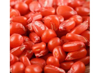 农业农村部部署开展全国农作物种子基地监督检查