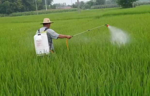 氨基酸叶面肥的作用