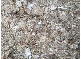 如何区分常见有机肥？