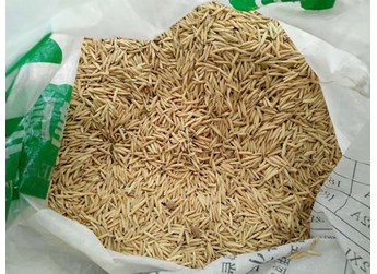 选购种子注意事项