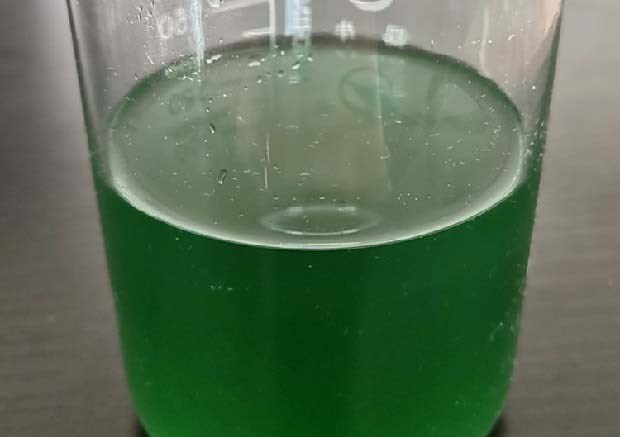 什么是转基因微生物?