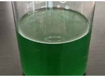 什么是转基因微生物？