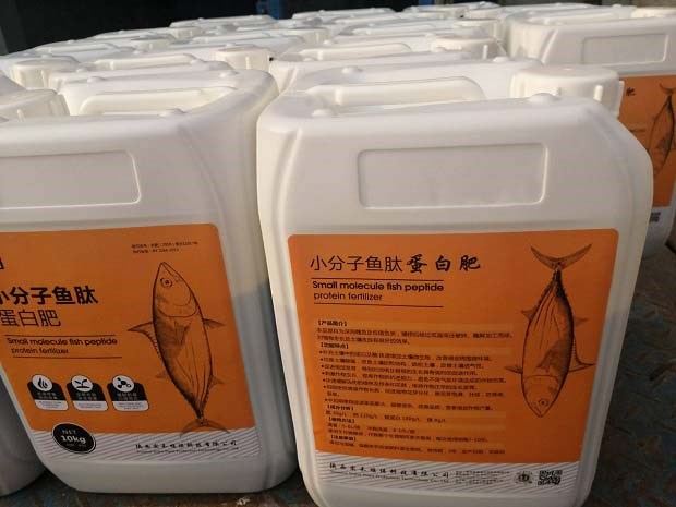 鱼蛋白肥料的作用